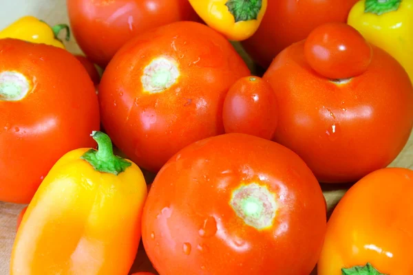 Mini-biber ve domates — Stok fotoğraf