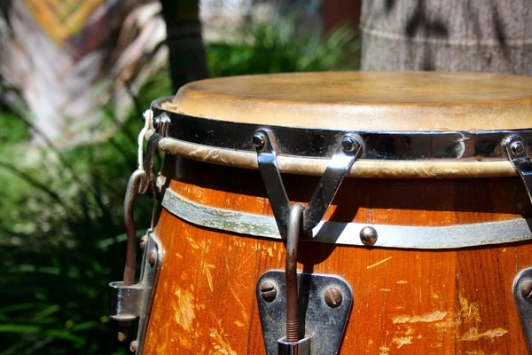 stock image Caribbean style conga drum