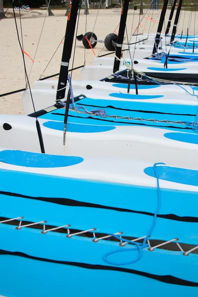 Catamaran sailboats — Stock Photo, Image