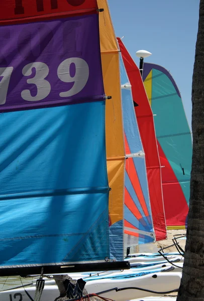Color sails on the beach — Stock Photo, Image