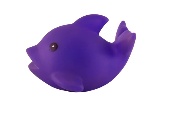 Purple fish — Stock Photo, Image