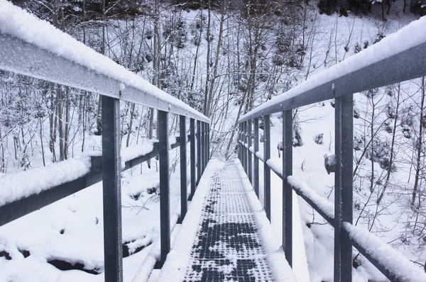 Snowy bridge — Stock Photo, Image