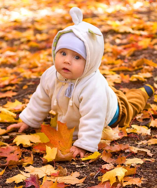 Das Baby im Herbstpark — Stockfoto