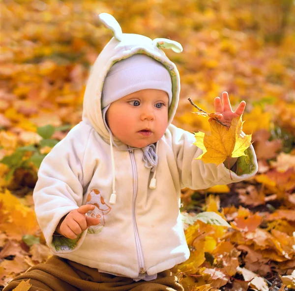The baby in autumn park — Stock Photo, Image