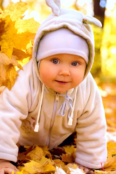 O bebê no parque de outono — Fotografia de Stock