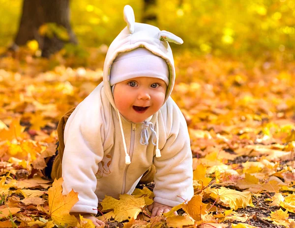 De baby in de herfst park — Stockfoto