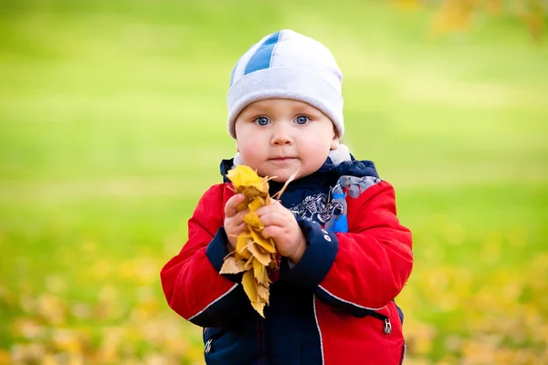 Το μωρό στο πάρκο φθινόπωρο — Φωτογραφία Αρχείου