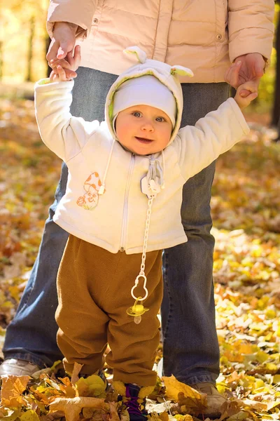 The baby in autumn park — Stock Photo, Image