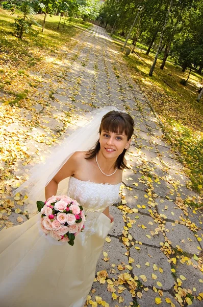 A menyasszony ellen őszi avenue — Stock Fotó