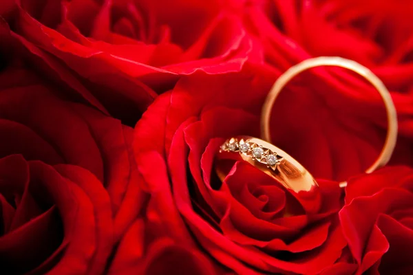 Červené růže a snubní prsteny. — Stock fotografie