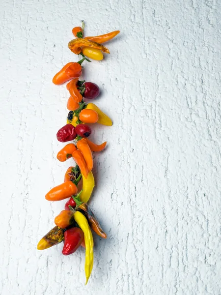 Sušená paprika — Stock fotografie