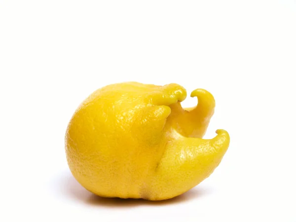 Lustige Zitrone — Stockfoto