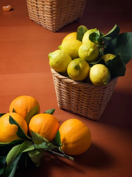 Mediterranean citrus Harvest — Stok Foto