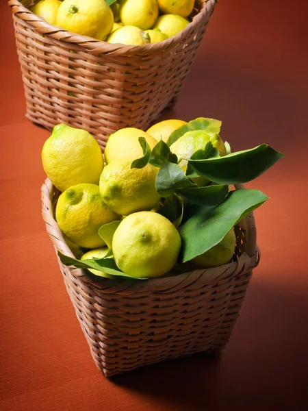 Cosecha de limón — Foto de Stock