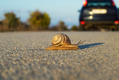 Snail's step clipart