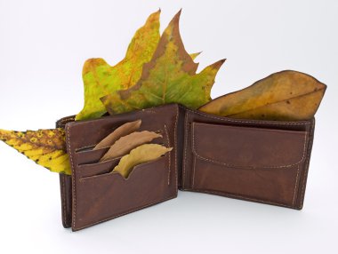 Wallet in the Autumn clipart