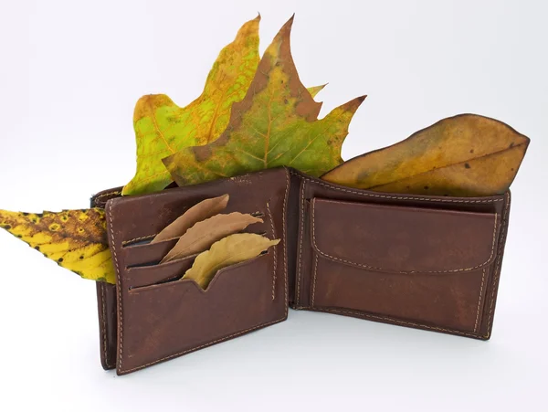 秋の財布 — ストック写真