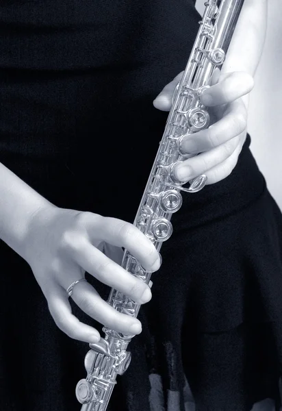 Flauta - música Imagen de stock