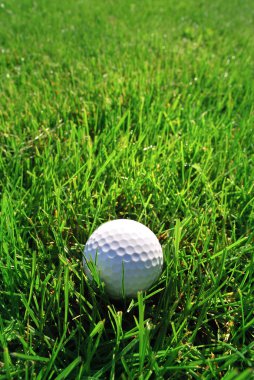 Golf topu