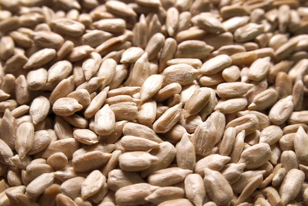 stock image Sunflower seeds