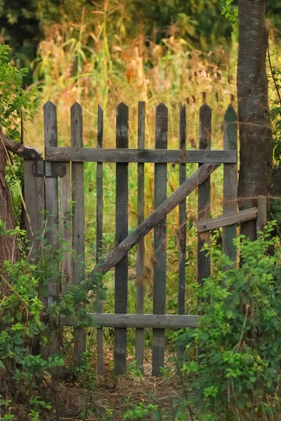 Puerta de madera vieja Imagen de stock