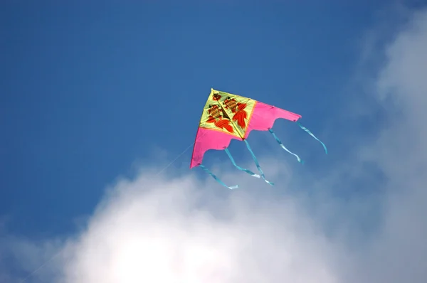 Kite - brinquedo — Fotografia de Stock