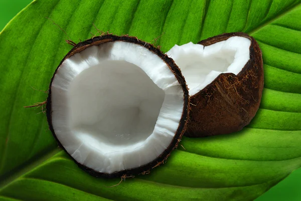 ココナッツ — ストック写真