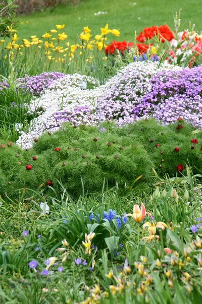 stock image Garden