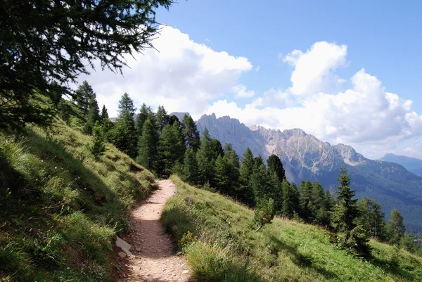 Sentiero di montagna — Foto Stock