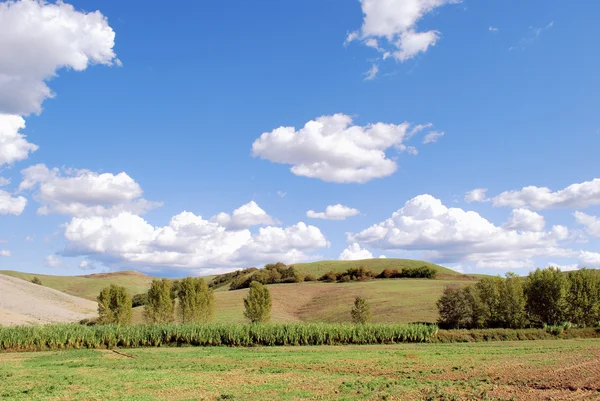 Tuscan landskap — Stockfoto
