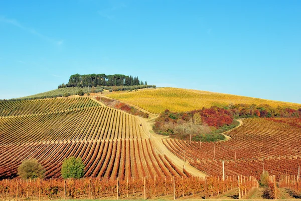 Tipycal Toscaanse landschap — Stockfoto