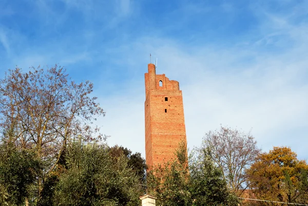 Torre di federico ii, san Miniato (PI) — Stockfoto