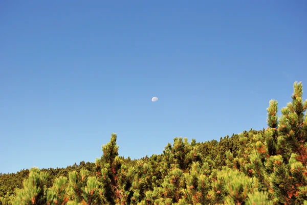 stock image Alpine sky