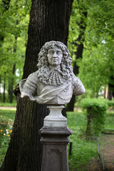 stock image Old bust in a summer garden