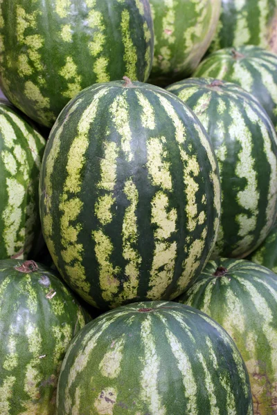 stock image Water-melon