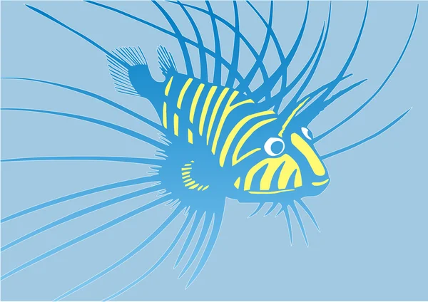 garip mavi ve sarı balık