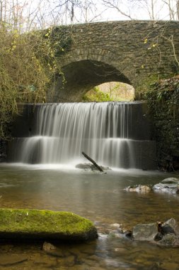 Devon Waterfall