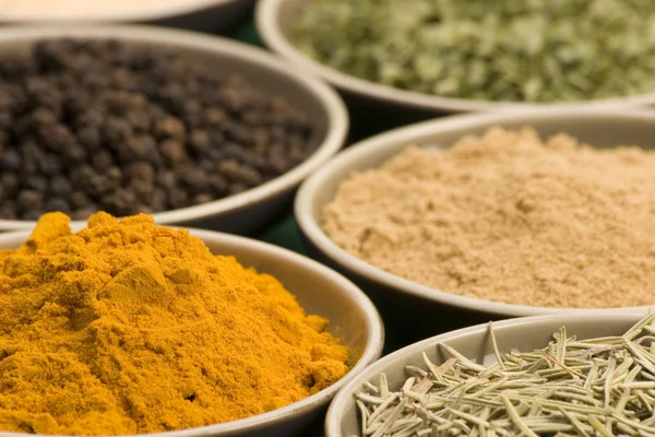 Various spice bowls — Stock Photo, Image