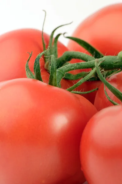 stock image Vine Tomato's