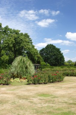 Londra görüntüleri