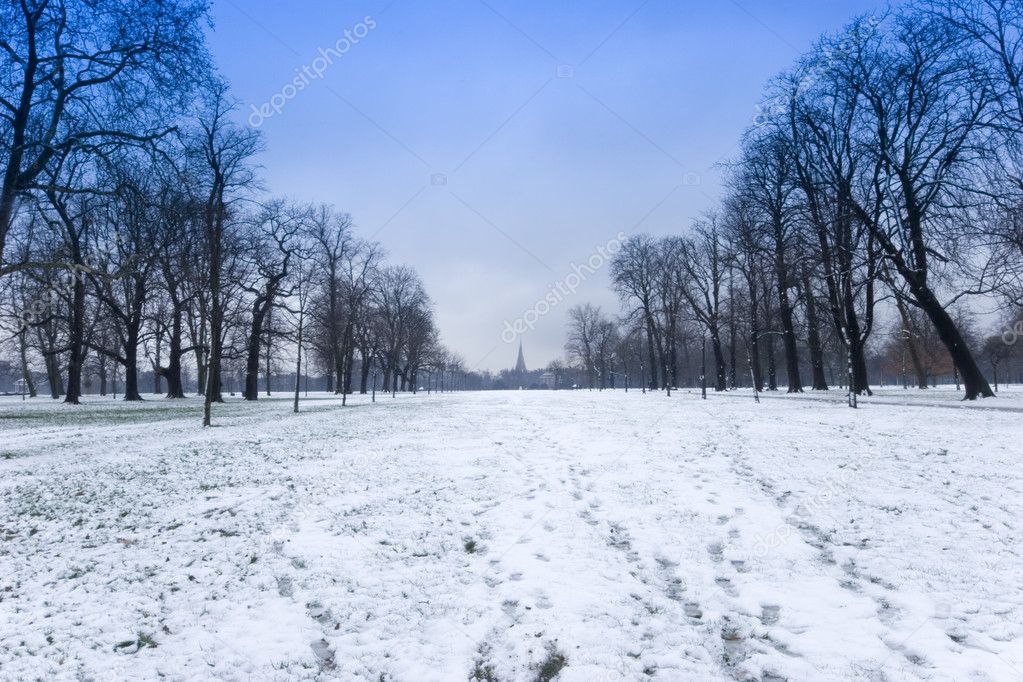Hyde park in winter