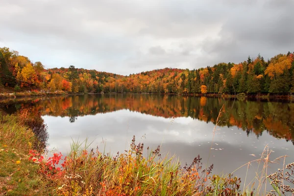 Colori autunnali vicino al lago — Foto Stock