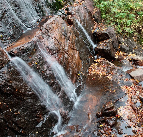 stock image Waterfall in the Woods