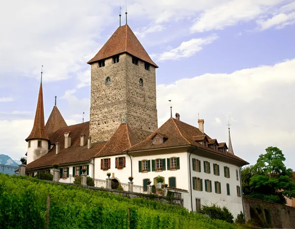 Castelo de Spiez, Berna Cantão, Suíça — Fotografia de Stock