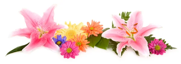 Uspořádání lilie a sedmikrásky — Stock fotografie