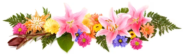 Floral Panorama — Stock Photo, Image