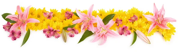 Virágos panoráma — Stock Fotó