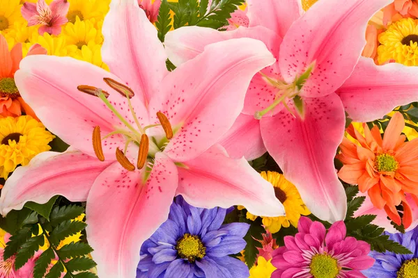Lilies and Daisies — Stock Photo, Image
