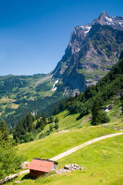 Grindelwald, Svizzera — Foto Stock
