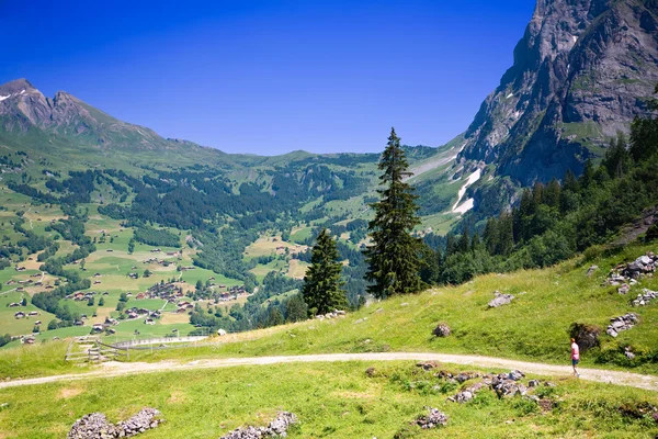 Grindelwald, Zwitserland — Stockfoto